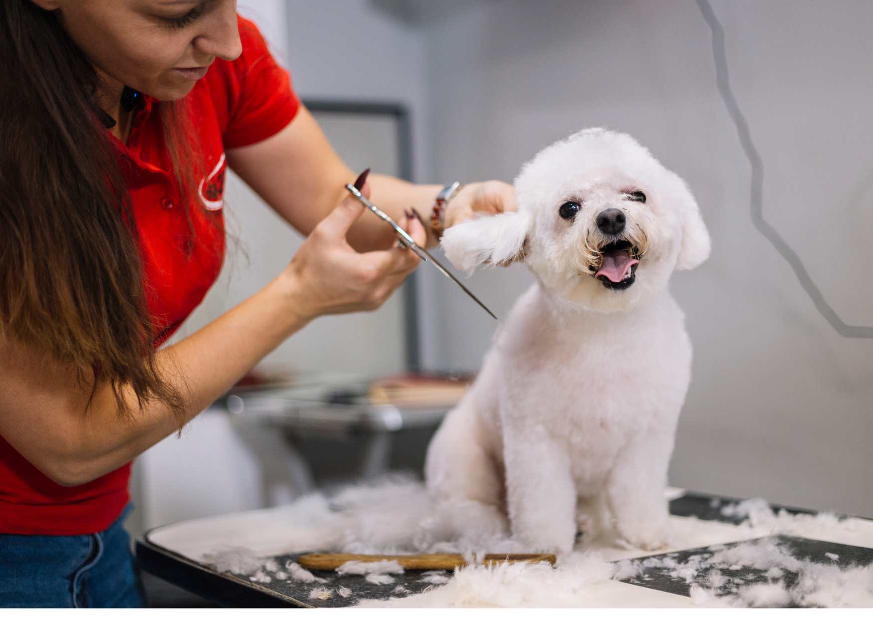 Pet groomer